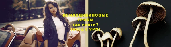 PSILOCYBIN Алексин