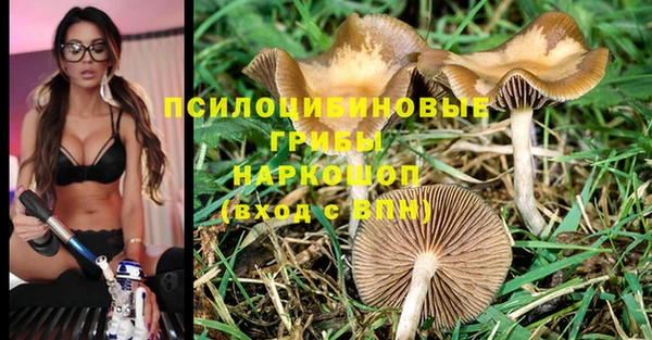 PSILOCYBIN Алексин