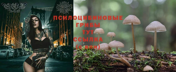 крисы Алексеевка