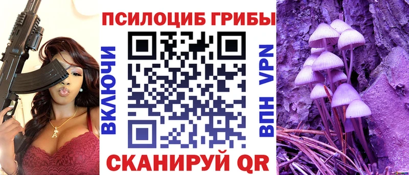 Псилоцибиновые грибы ЛСД  kraken ТОР  Алзамай 